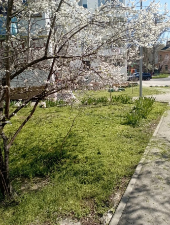 📋 Отчёт о выполненных работах:  покос травостоя.